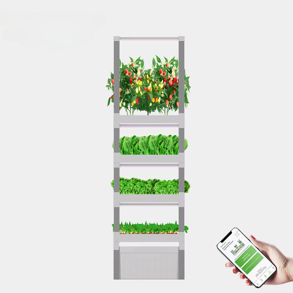 nt China Hydrokultur Grow Box  - Home Automation Systems Diy ulasan dan harga