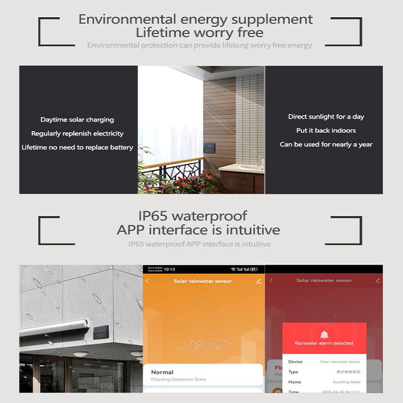 Tuya Zigbee Rain Sensor Real-T - Home Automation Tutorial ulasan dan harga