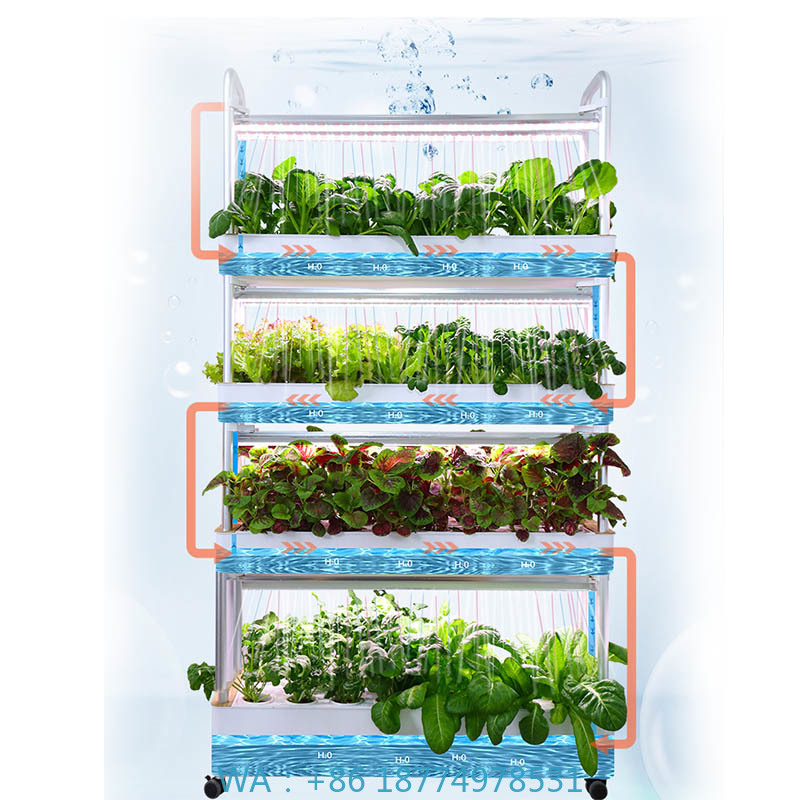 ydroponic Planting System Smar - Home Automation Systems Diy ulasan dan harga