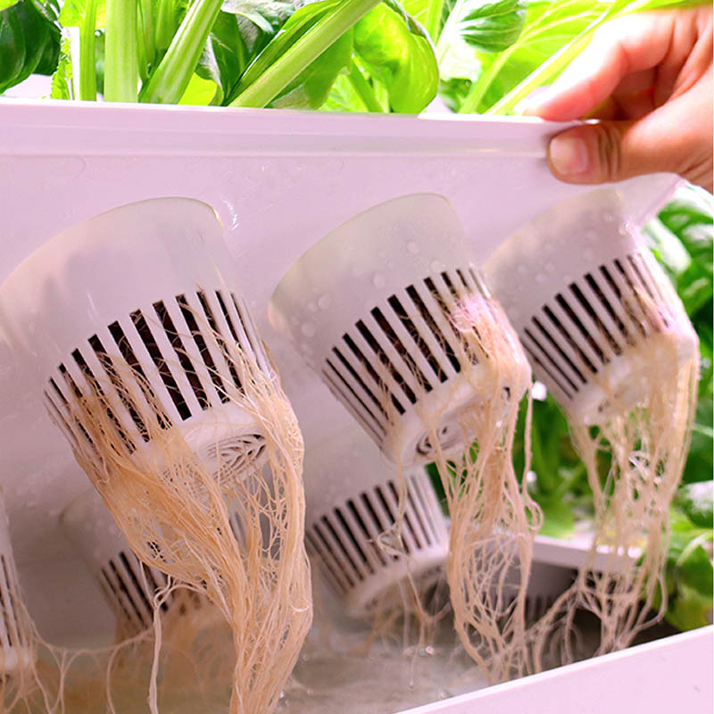 ydroponic Planting System Smar - Home Automation Systems Diy ulasan dan harga