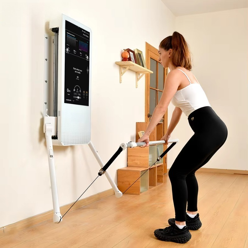 Multifunctional Home Fitness E - Home Automation Industry ulasan dan harga