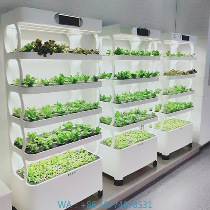 Hydroponic Automated Grow Syst - Home Automation Systems Diy ulasan dan harga