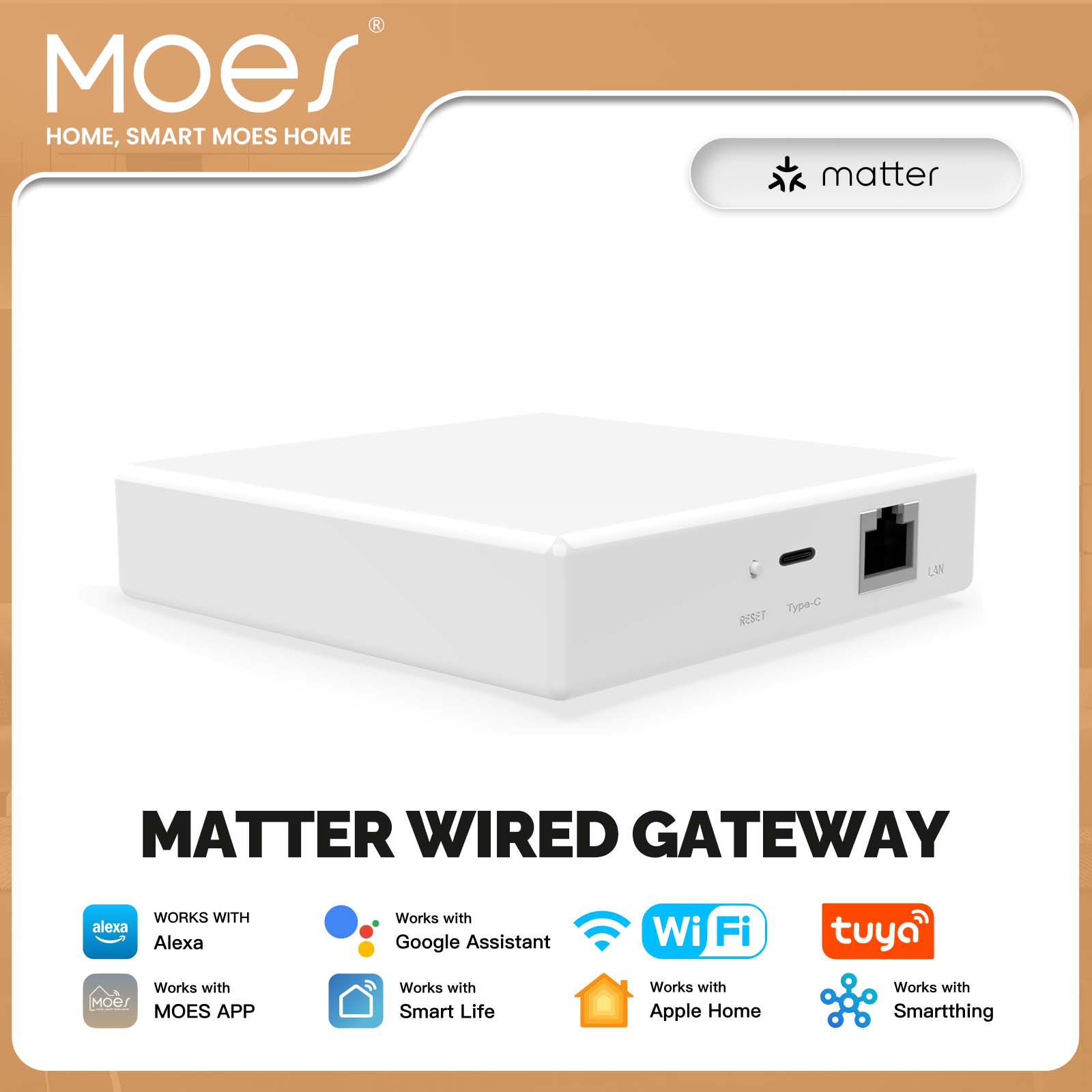 MOES Tuya ZigBee Matter Thread - Matter Hub Thread ulasan dan harga